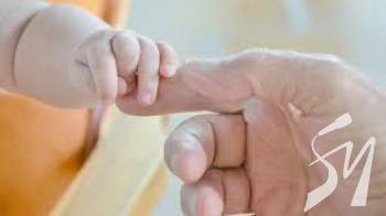 ���������� ��������� ������� �� 781 �����