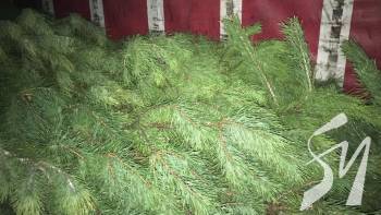 �� ����������� ��������� ���������, � ��� ���� 800 ��������� ��������� �����