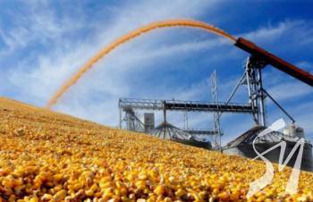 ����������� ������� ����� ������������ �� ������� ������