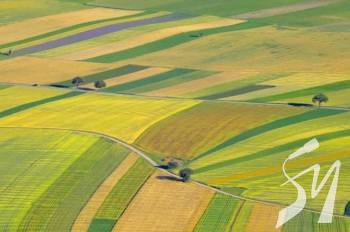 ���������� ��������� ��������� �� ����� � 20 �� 26 ���������