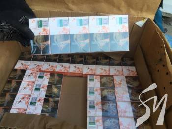 � �������� �VOLKSWAGEN� ������������� ������� ��������� ������� ������