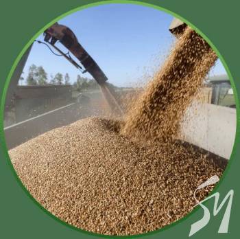 ���� ���������� ����� � ������ ������ � ����