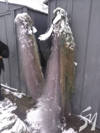 ������������ ������������� ������� ������ ����� 3 �� ����