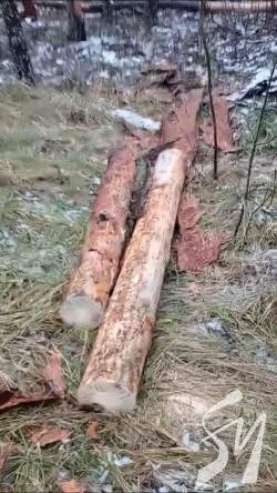 ������� ������ �������