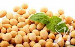 ������� ����������� �������� �������� �� �� ���������