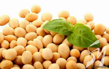 ������� ����������� �������� �������� �� �� ���������