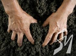 �������� �������� � ��� ���������� ������