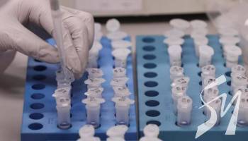 � ������ �� ���� ���������� 4385 ����� ������� COVID-19