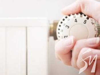 ������ �� �������� ������ ������ �� 50%