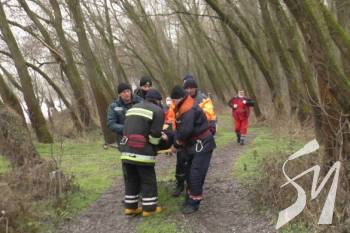 � �������� ���� �������� � ������� ���� � �����