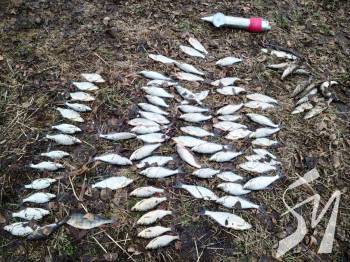 �� ������� ������� ���������� � 11 �� ��������� ������ ���� �� 350 ����� ����