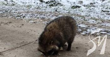 �� ����������� �������� ����������� ����