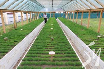 �� � ������ ���������� ���� ����������