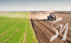 ������ ����������� �����������: ���� ������ ������ �������� �������?