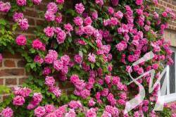 ����� ��������� ����: ���������� � ����