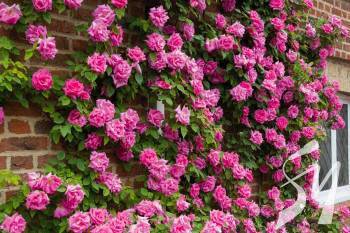 ����� ��������� ����: ���������� � ����