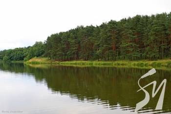 ����������� ������� �������� ��� �������� �� ����� ������� � ��������