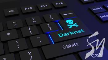 ������ ����������� � �������� ��������-��������� � ������� ��������� ���������