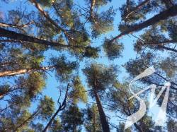 ������� ���� ������� ������ ������ ��������� ���� � �������� ����� �������������� �� ���?