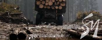 ��������� ������� ��� ������� ����������� 2,5 ������� ������