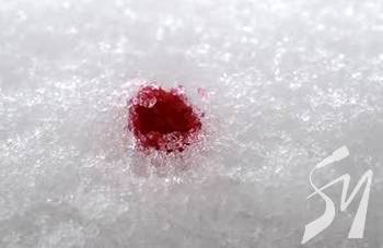 �� ����������� ����� ������� ������