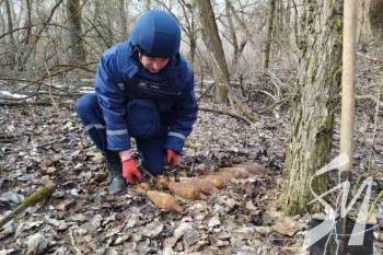 �� ����������� ���������� ���� ������� 8 ��������� �� ���� ����� ������ ����