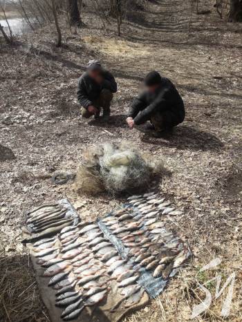 ������������ ������������� �������� ������� ���������� �� 10 ���������� ��������� ������ ����