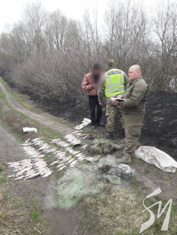 �� ������ ���� ������� 29 �� ���� �� ����� 8 ���. ��� ������