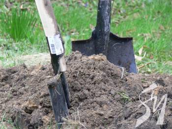 ����� 4-5 ���� ����������� ����������� ����� � ���� ��� �������