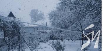 ���� �����������. ³����� � �������� ������� ������ ����� ����