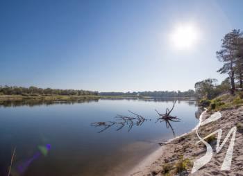 ��� ��������� ���: 5 ���� �������� �����������