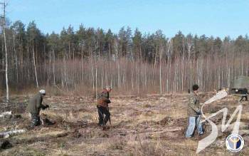 ��������� �� ����������� ������� ������� ����������, ������ ��, ��������� �����䳿