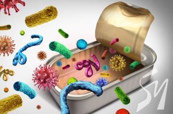 ������� ������ ����� ����������