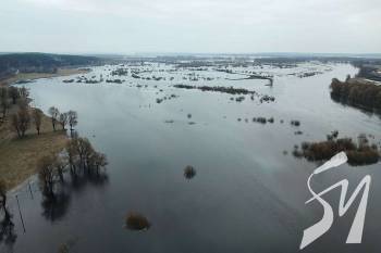 � ����������� ������ �� ��� ������ ����� �������� ���� ��� ���������