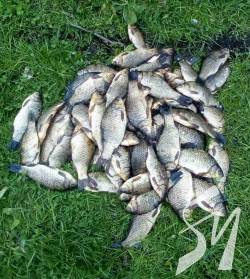 ������� 20 �� ���� ������ �� ��� �������