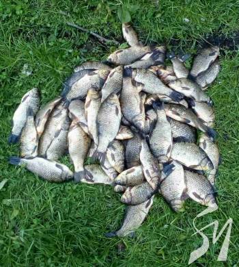 ������� 20 �� ���� ������ �� ��� �������