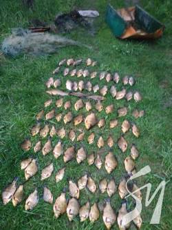 ������� ���������� � 21 �� ��������� ������ ���� � �������� � ����� ����� 22 ���. ���.