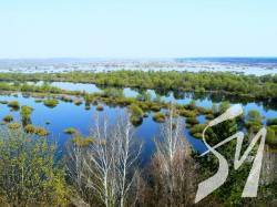 �� ������ ����������� ������ ��������� �����