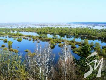 �� ������ ����������� ������ ��������� �����