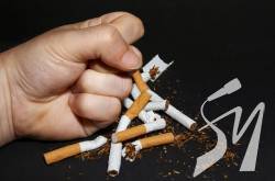 �� ����������� ���������� ������� ��������������