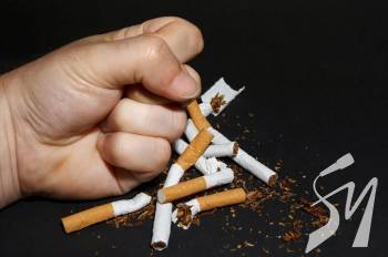 �� ����������� ���������� ������� ��������������