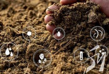 ������������� � �� ������