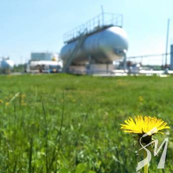 �� 4 ����� 2021-�� ��������� �������� �������� ����������� 10,3 ��� ��� �����