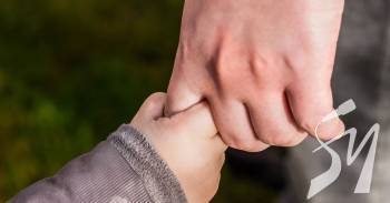 ���� 11-�������� ���� �� ���� � 2-������: � �������� ������� ����� �������-��������