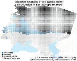 ����� ���� ������ ������ ���� �������� 97% ������ ������