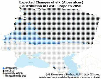 ����� ���� ������ ������ ���� �������� 97% ������ ������