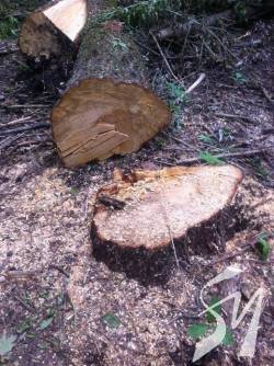 ���������� ����������� �� ��������� ������� ����� �� ����� 800 ���. ���