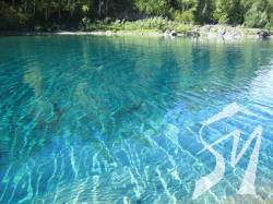 ����� ����� ��������� �� ���-5 ����������� ���� ���������