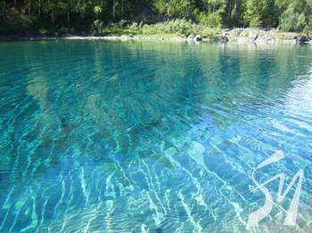 ����� ����� ��������� �� ���-5 ����������� ���� ���������