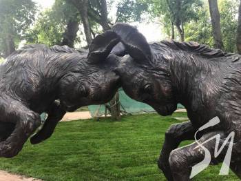 �� ������������ ��� ���������� ����� �������������